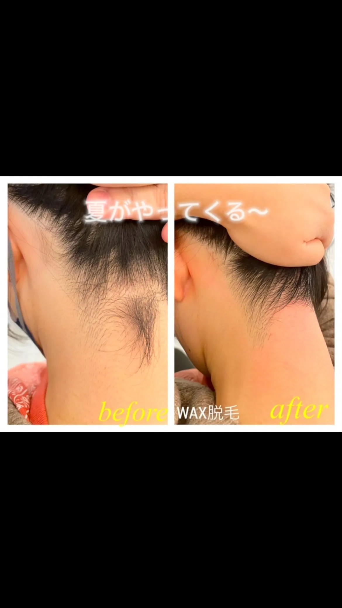 もう間もなく夏がやってくる〜🌻